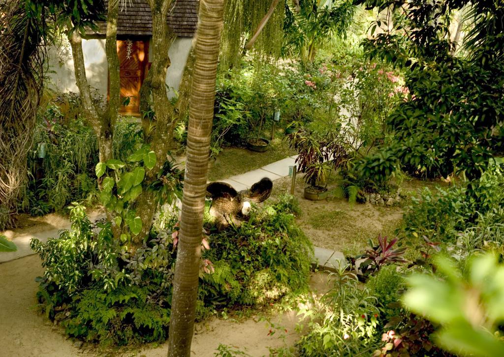 Whistling Bird Hotel เนกริล ภายนอก รูปภาพ