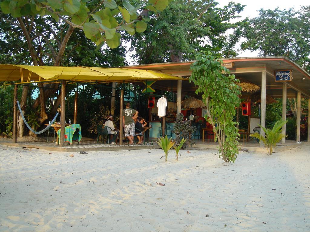 Whistling Bird Hotel เนกริล ภายนอก รูปภาพ